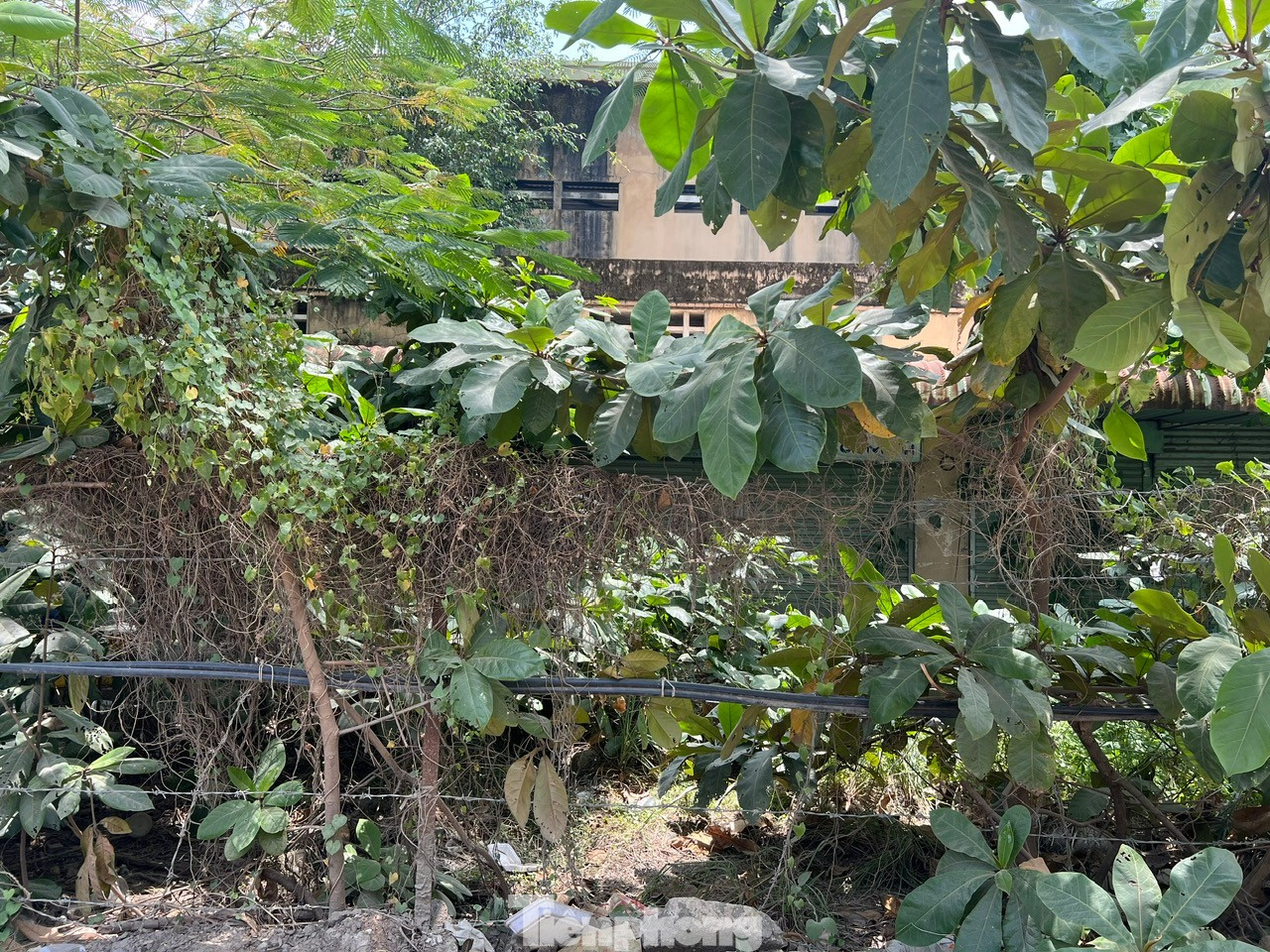 Cận cảnh 2 khu chợ tiền tỷ sắp bị giải tỏa ở TPHCM - Ảnh 4