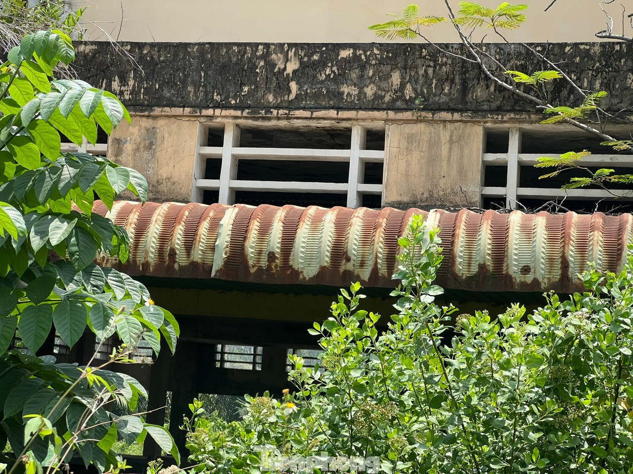 Cận cảnh 2 khu chợ tiền tỷ sắp bị giải tỏa ở TPHCM - Ảnh 2