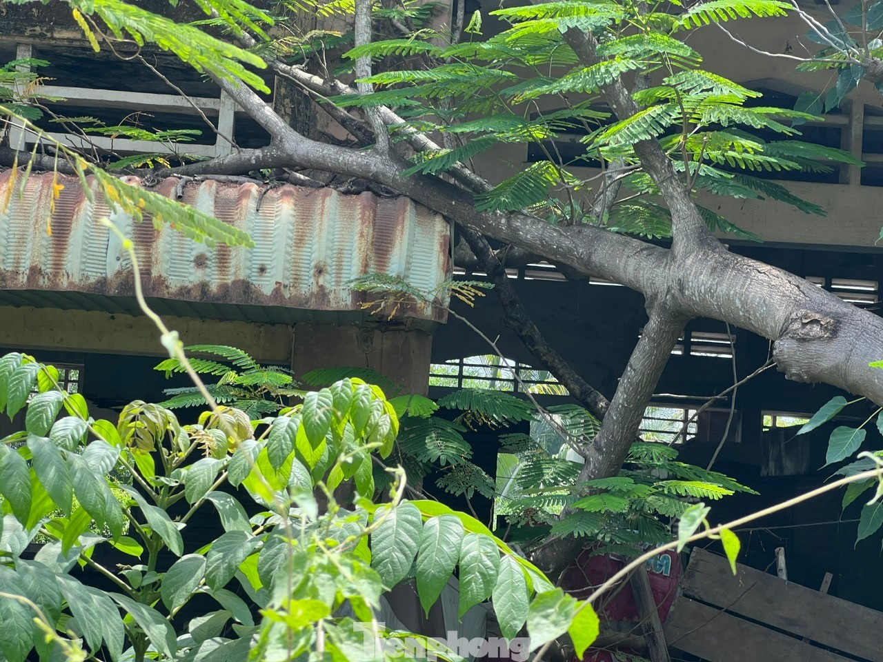 Cận cảnh 2 khu chợ tiền tỷ sắp bị giải tỏa ở TPHCM - Ảnh 3