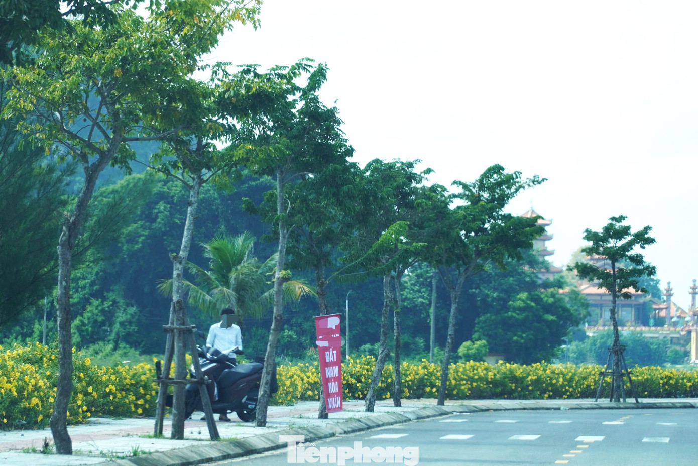 'Cò' nườm nượp, đất Đà Nẵng nhảy giá chóng mặt - Ảnh 5