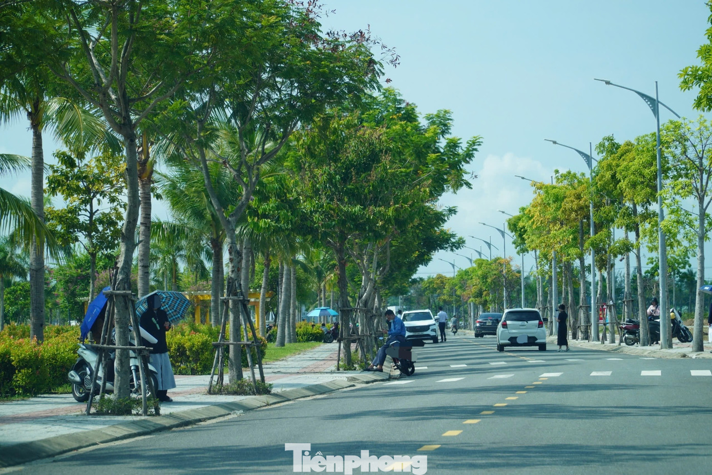 'Cò' nườm nượp, đất Đà Nẵng nhảy giá chóng mặt - Ảnh 6