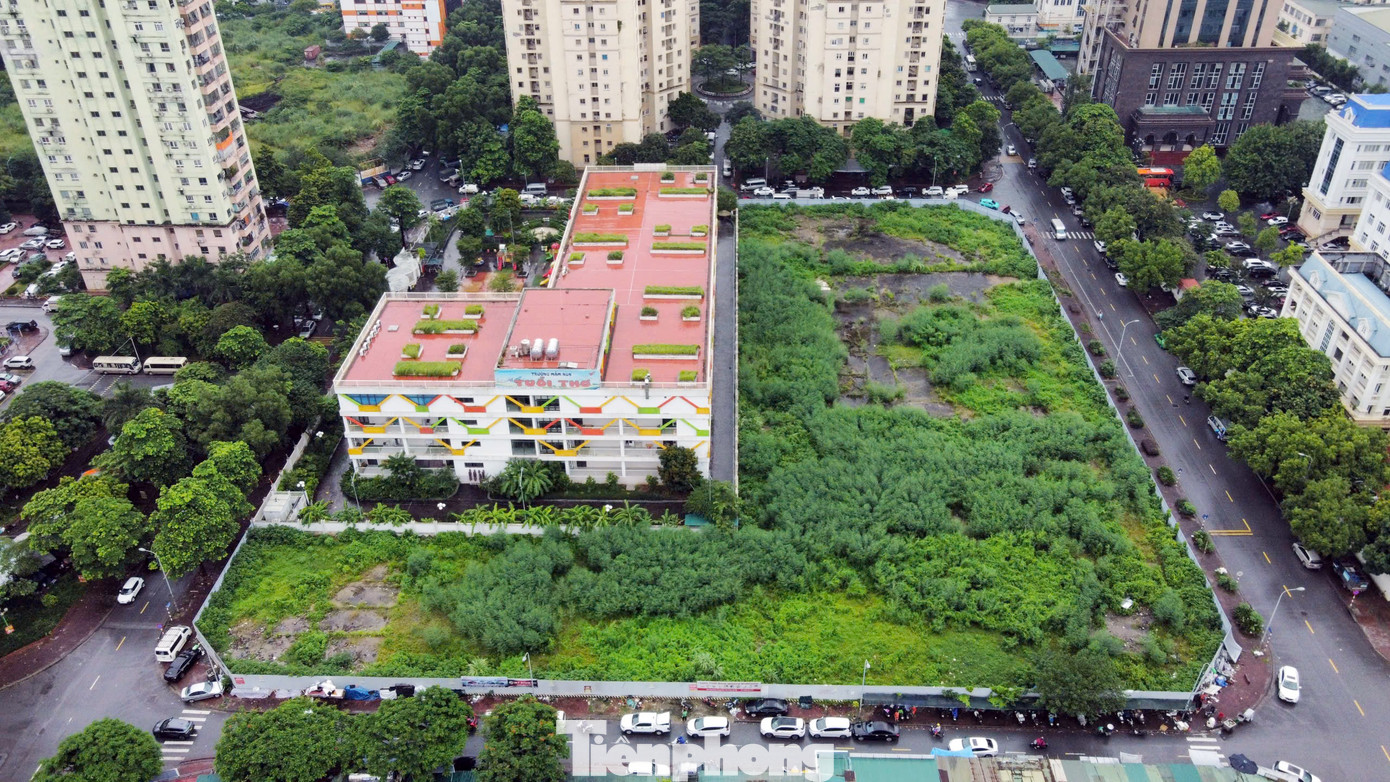 Điều chỉnh quy hoạch những lô 'đất vàng' của TD Group 'dính' đề xuất thu hồi - Ảnh 15