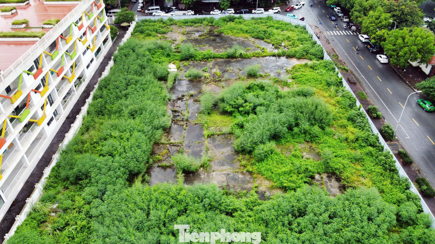 Điều chỉnh quy hoạch những lô 'đất vàng' của TD Group 'dính' đề xuất thu hồi - Ảnh 9