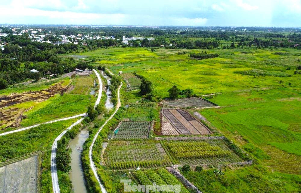 Dự án nhà ở bỏ hoang 17 năm trên 'đất vàng' TPHCM chính thức bị thu hồi - Ảnh 2