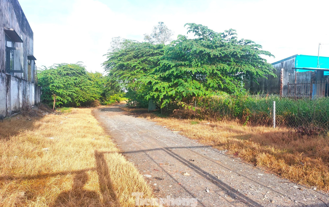 Dự án nhà ở bỏ hoang 17 năm trên 'đất vàng' TPHCM chính thức bị thu hồi - Ảnh 5