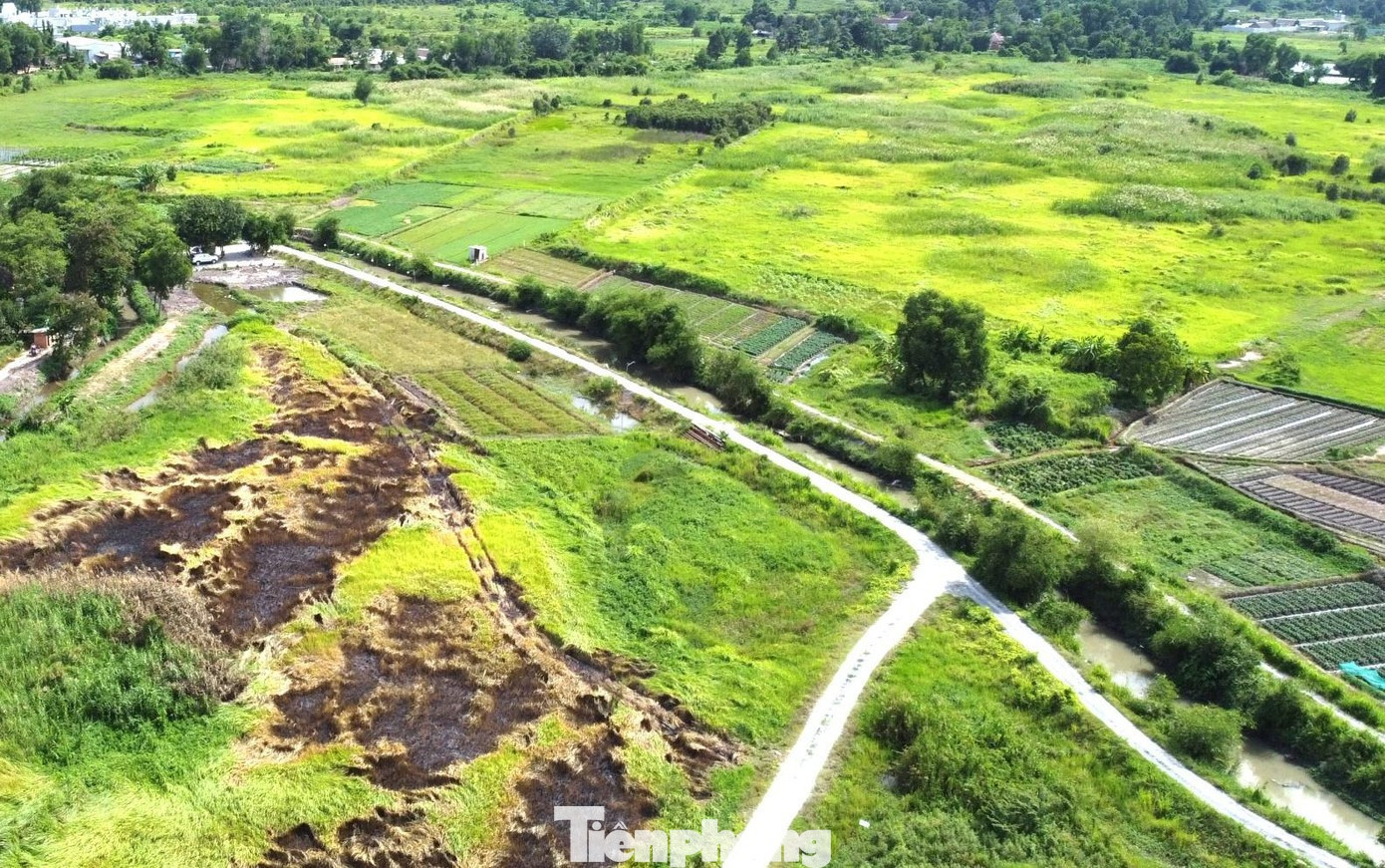 Dự án nhà ở bỏ hoang 17 năm trên 'đất vàng' TPHCM chính thức bị thu hồi - Ảnh 8