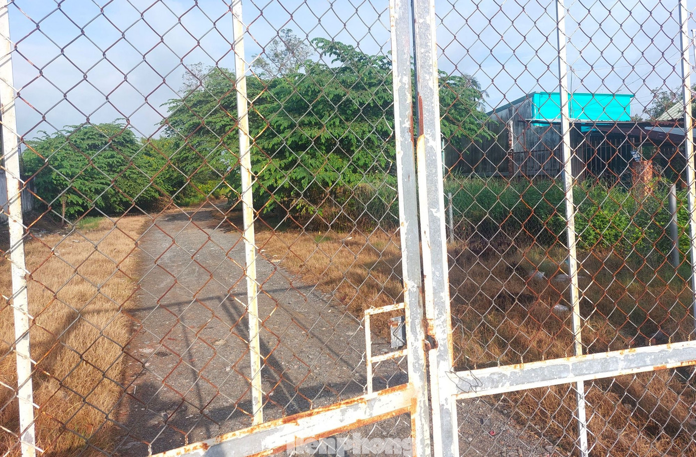 Dự án nhà ở bỏ hoang 17 năm trên 'đất vàng' TPHCM chính thức bị thu hồi - Ảnh 4