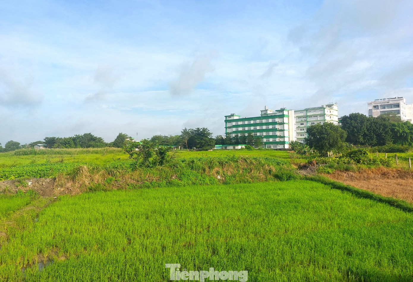 Dự án nhà ở bỏ hoang 17 năm trên 'đất vàng' TPHCM chính thức bị thu hồi - Ảnh 6