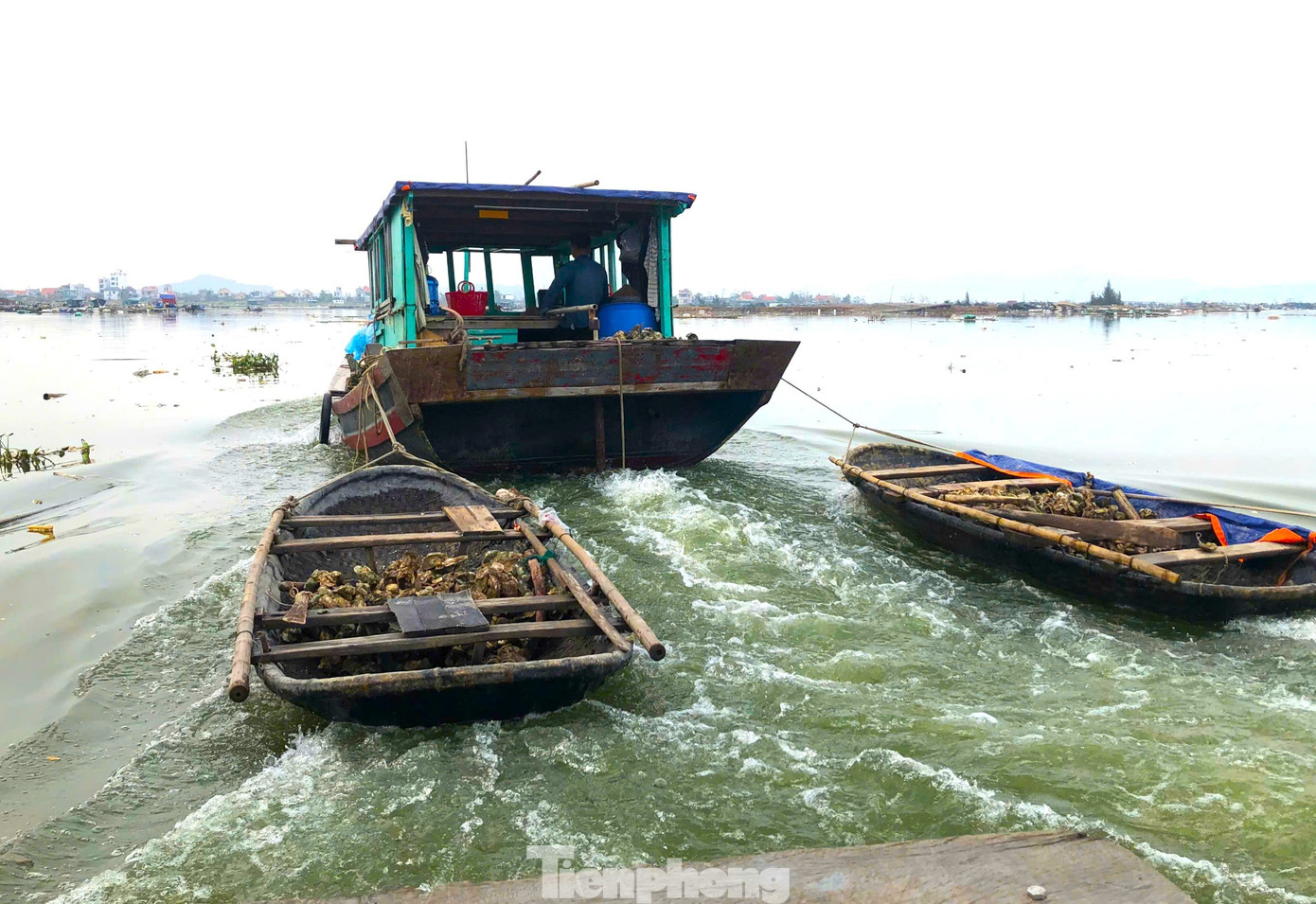 Thủ phủ hàu Vân Đồn điêu đứng, hàng Trung Quốc giá rẻ tràn lan - Ảnh 3