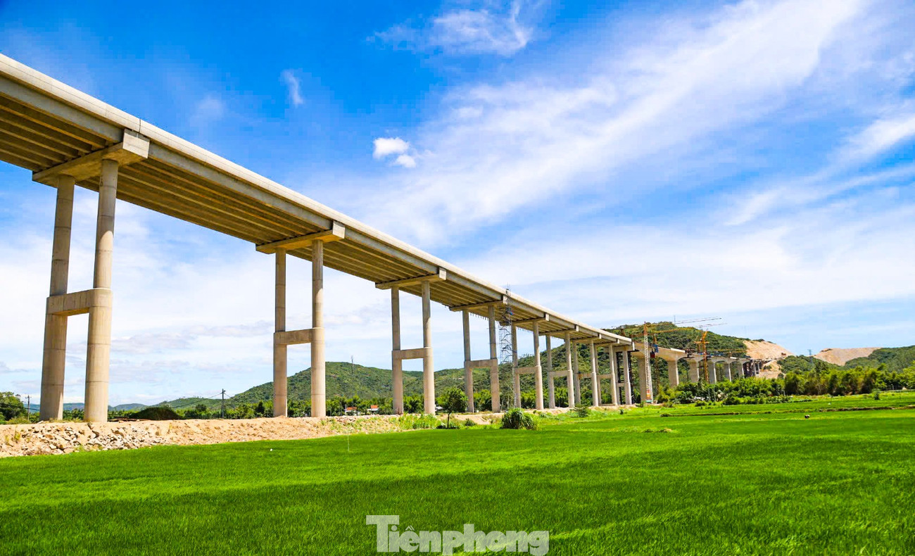 Cận cảnh cây cầu dài nhất cao tốc Bắc - Nam phía đông vừa hợp long - Ảnh 6