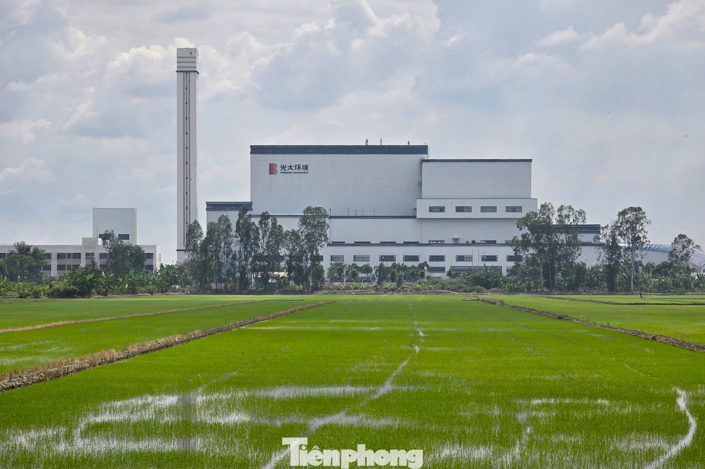 Hàng nghìn tấn rác sẽ biến thành điện, Cần Thơ tìm nhà đầu tư - Ảnh 2