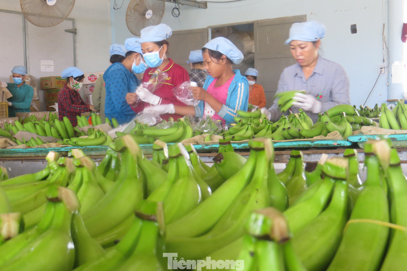 Đàm phán thương mại cần 'ông cho chân giò, bà thò chai rượu' - Ảnh 4