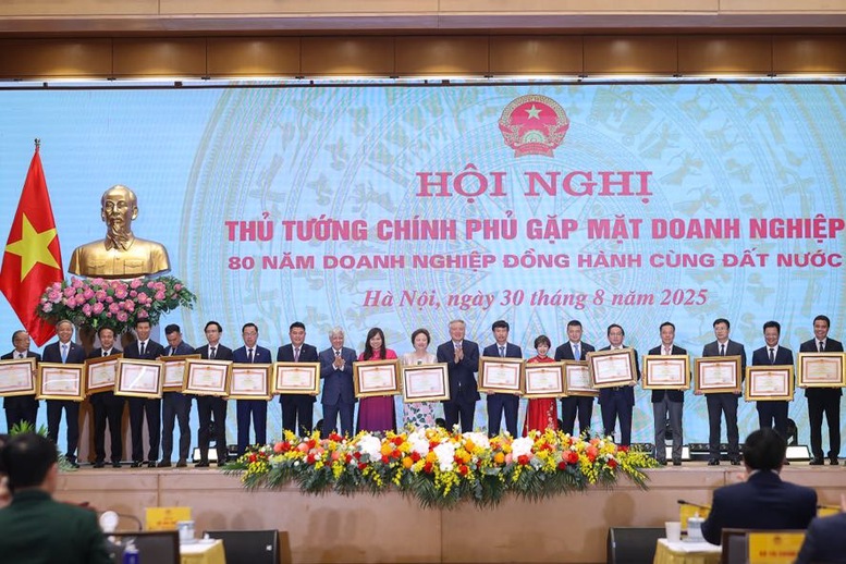 Tập đoàn Geleximco, Sun Group, BRG và loạt doanh nghiệp lớn nhận bằng khen của Thủ tướng Chính phủ - Ảnh 3