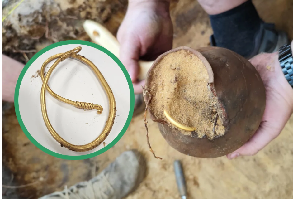 Khám phá khu rừng, 5 tuần đào được 3 kho báu - Ảnh 1