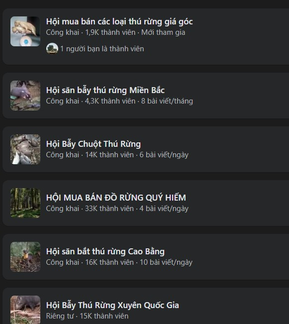 Gà lôi trắng, động vật hoang dã bán tràn lan trên mạng - Ảnh 2