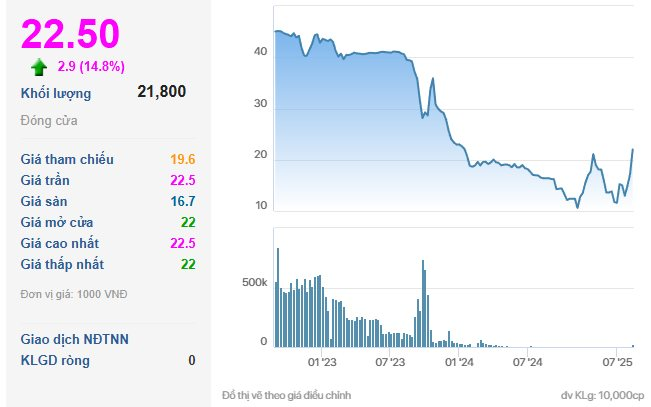 Một mã chứng khoán bất ngờ ngược dòng tăng kịch trần giữa lúc thị trường rơi mạnh - Ảnh 1