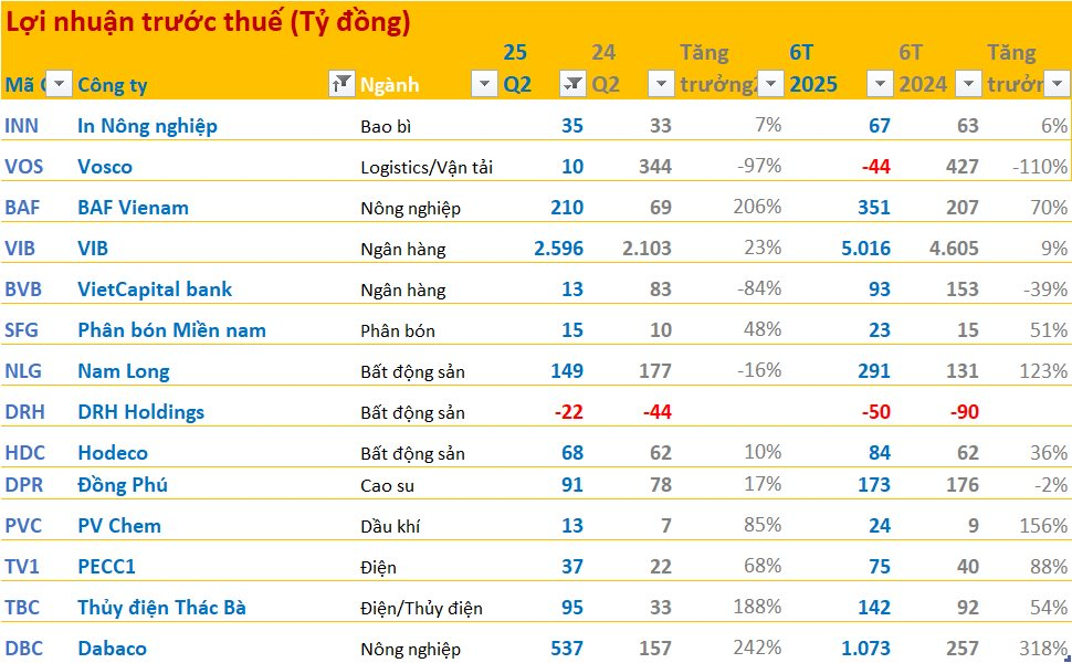 Cập nhật BCTC quý 2/2025 ngày 29/7: Nam Long, Dabaco, BAF... công bố, nhiều doanh nghiệp tăng bằng lần - Ảnh 1