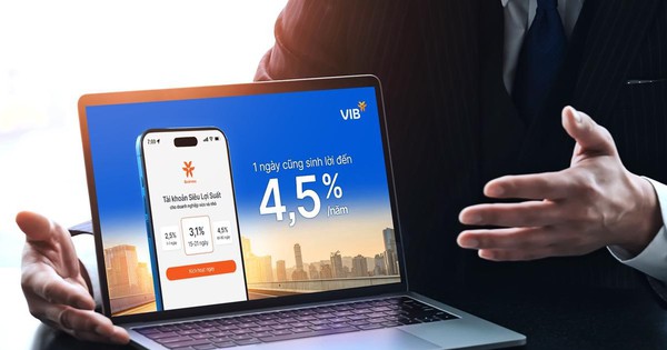 Siêu Lợi Suất VIB giúp doanh nghiệp biến dòng vốn nhàn rỗi thành công cụ sinh lời