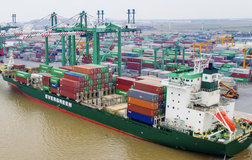 HoSE yêu cầu Viconship giải trình việc cổ phiếu VSC tăng trần 5 phiên liên tiếp - Ảnh 1