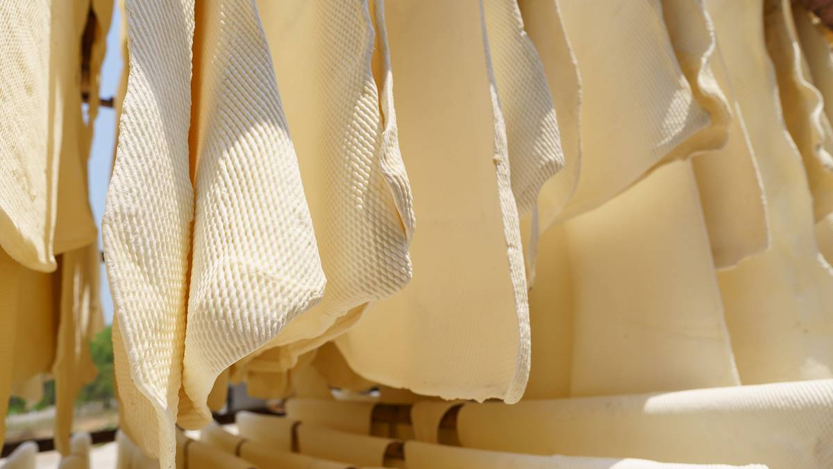 Hàng chục nghìn tấn 'vàng trắng' của Việt Nam được Malaysia chốt đơn: 1/3 thế giới ưa chuộng, nước ta có diện tích trồng hơn 900.000 ha - Ảnh 1