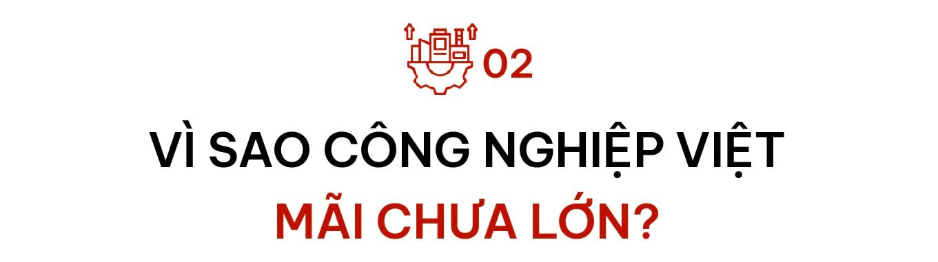 TS. Lê Xuân Nghĩa: VinFast, Trường Hải, Hòa Phát... đều đang mở đường, nhưng Việt Nam vẫn thiếu cú hích để công nghiệp hóa thật sự - Ảnh 4