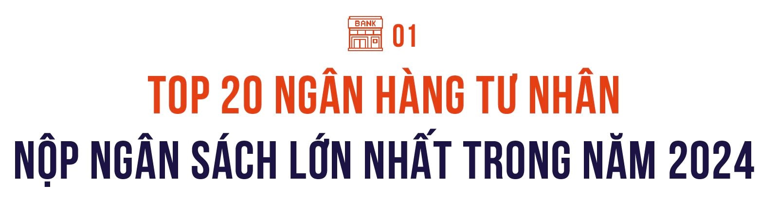 Công bố 20 Ngân hàng tư nhân nộp ngân sách lớn nhất Việt Nam - Ảnh 1