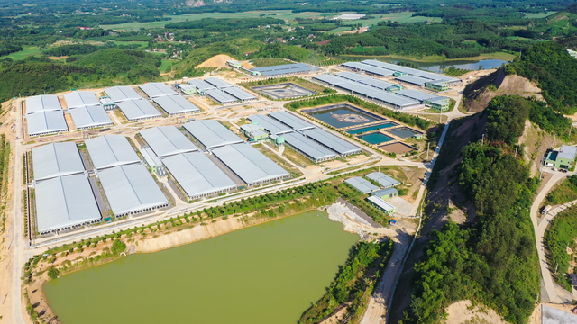 2 doanh nghiệp xin xây 'chung cư nuôi heo': Tiềm lực như thế nào? - Ảnh 2