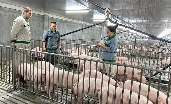 2 doanh nghiệp xin xây 'chung cư nuôi heo': Tiềm lực như thế nào? - Ảnh 3