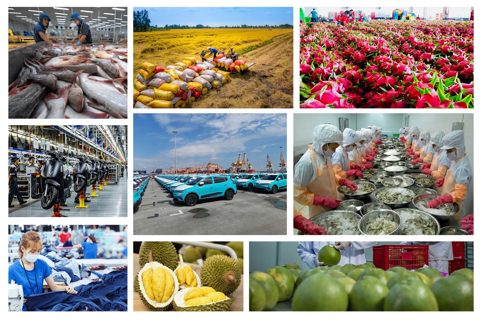 Việt Nam 80 năm: Bệ phóng nào cho kinh tế tư nhân? - Ảnh 1