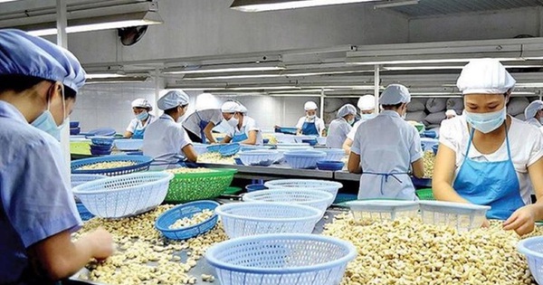 Mỹ áp thuế 20% với hàng Việt Nam: Doanh nghiệp, chuyên gia kỳ vọng giảm thêm