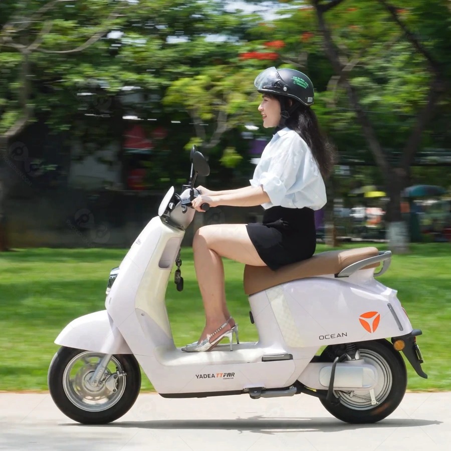 Xe máy điện tại Việt Nam: Miếng bánh không chỉ dành cho một thương hiệu - Ảnh 3