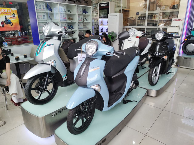 Một hãng xe tăng trưởng 500%, góp phần đưa Việt Nam vào vị trí thứ 3 toàn thế giới - Ảnh 4