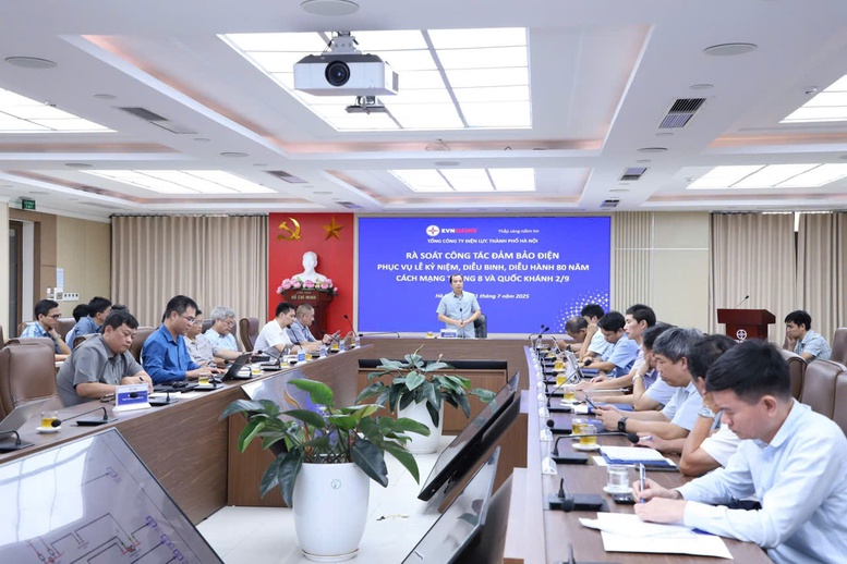 Bảo đảm cung cấp điện an toàn, ổn định cho dịp kỷ niệm 80 năm Cách mạng Tháng Tám và Quốc khánh 2/9 - Ảnh 1