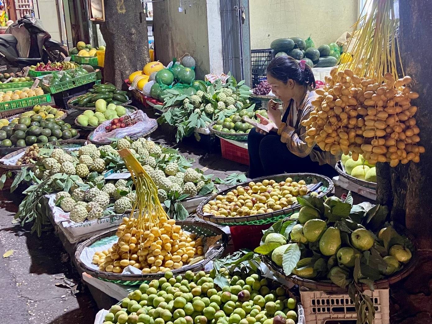 Chà là tươi Thái Lan giá rẻ bán khắp Hà Nội - Ảnh 2