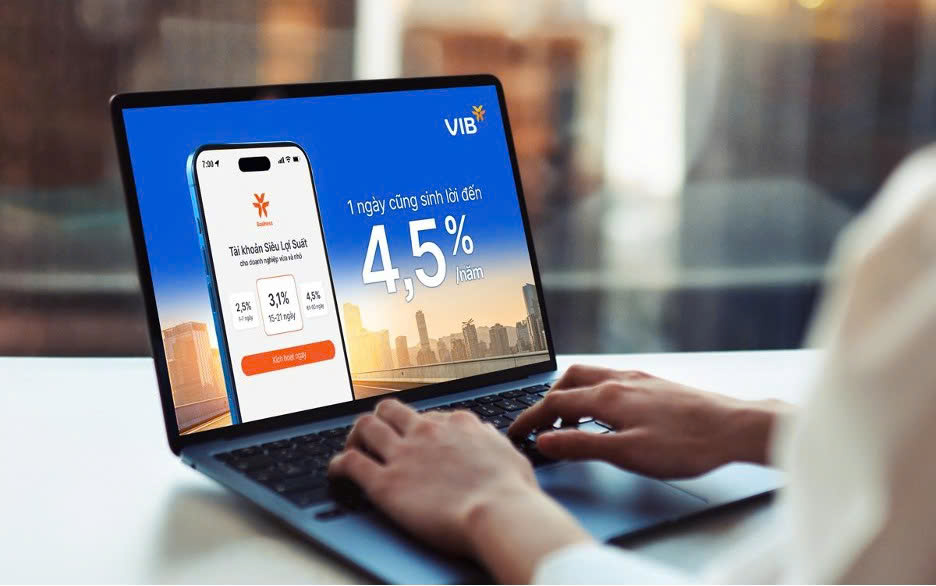 Nhiều doanh nghiệp Việt lựa chọn giải pháp sinh lời của VIB cho dòng vốn ngắn hạn - Ảnh 1