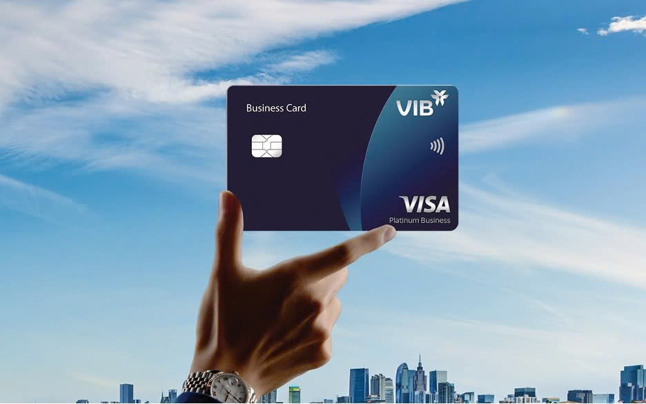 Nhiều doanh nghiệp Việt lựa chọn giải pháp sinh lời của VIB cho dòng vốn ngắn hạn - Ảnh 3