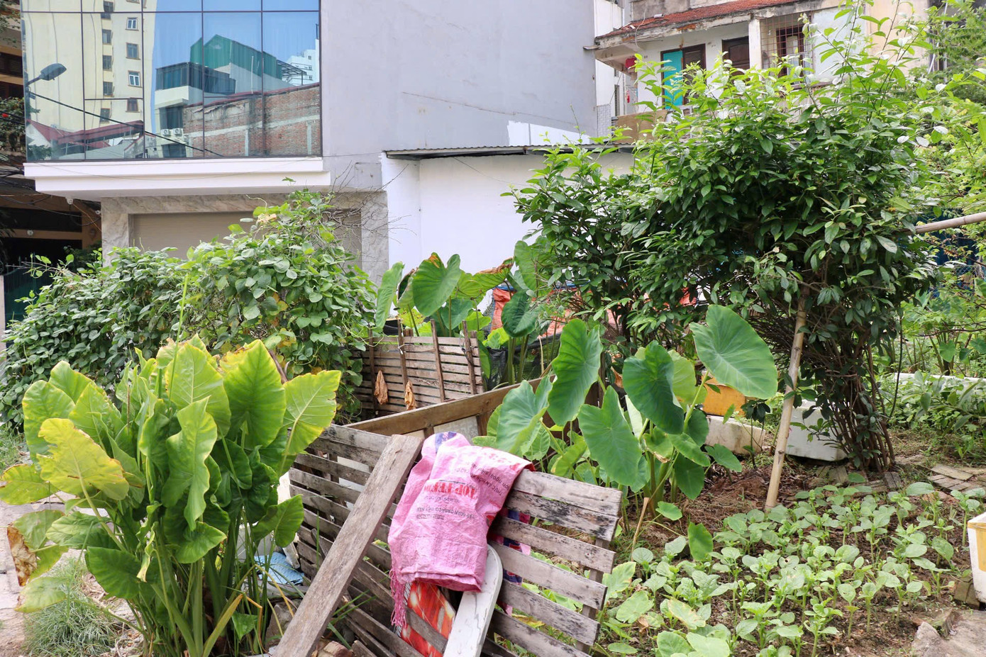 Dự án đường 420 mét giữa Thủ đô 9 năm chưa khởi công - Ảnh 3