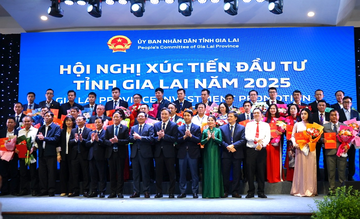 69 dự án, gần 120.000 tỉ đồng đầu tư vào Gia Lai - Ảnh 1