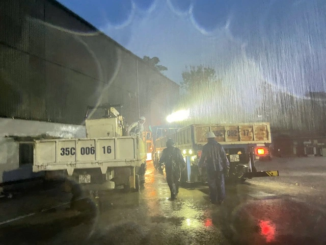 EVNNPC huy động 536 người khắc phục lưới điện sau bão số 5 - Ảnh 2