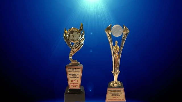EVNHCMC được vinh danh tại ASEAN Award 2025 - Ảnh 3