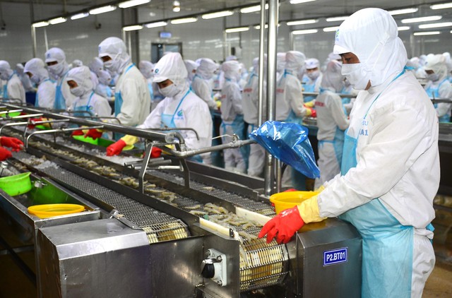 Ngành tôm Cà Mau: Trụ cột tăng trưởng GRDP và ‘tham vọng trung tâm quốc gia’ - Ảnh 4