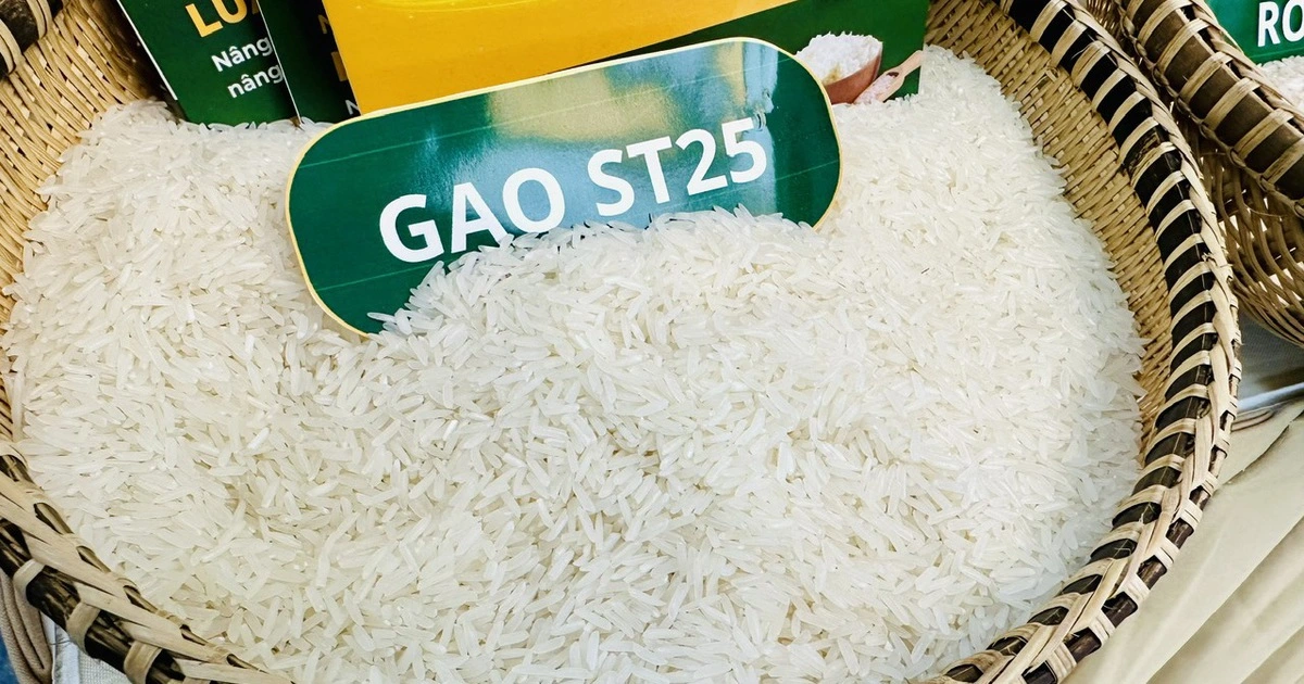 Giá gạo Việt Nam tăng vọt sau lệnh cấm nhập khẩu của Philippines