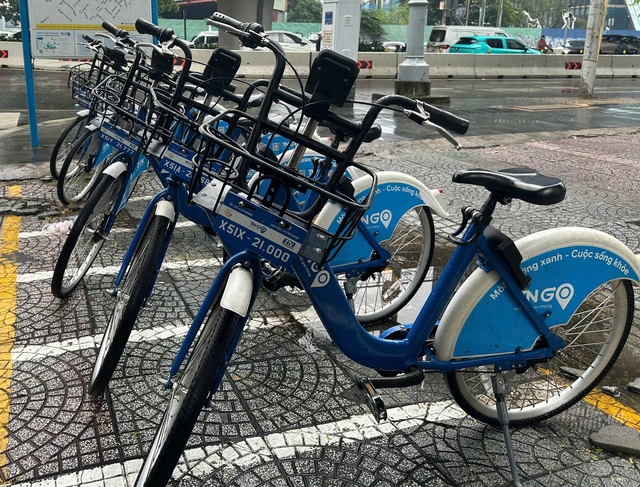 TP.HCM hạn chế xe xăng: Đề xuất làn đường riêng cho xe đạp - Ảnh 1