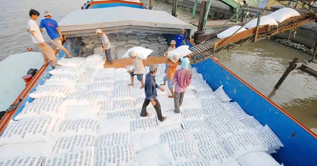 Đối tác lớn nhất ngưng nhập, gạo Việt có bị ảnh hưởng?