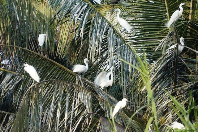 Lan tỏa làn sóng khởi nghiệp, đổi mới sáng tạo tại An Giang - Ảnh 3