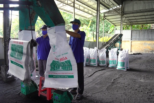 Hướng đi nông nghiệp xanh của các công ty cao su Việt Nam - Ảnh 1