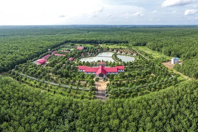 Chư Sê - Kampong Thom: Ngọn cờ đầu của ngành cao su Việt Nam trên đất Campuchia - Ảnh 1