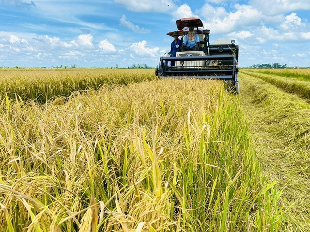 Từ 'gạo xanh' đến nông sản phát thải thấp - Ảnh 1