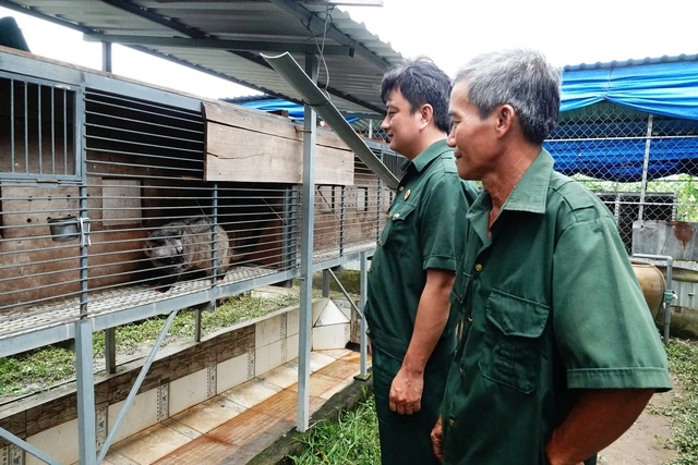 Từ tay trắng đến thu lãi hàng trăm triệu đồng nhờ nuôi chồn hương - Ảnh 1