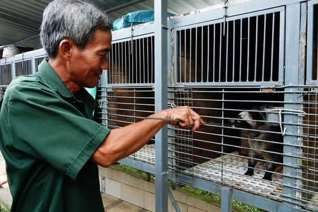 Từ tay trắng đến thu lãi hàng trăm triệu đồng nhờ nuôi chồn hương - Ảnh 2